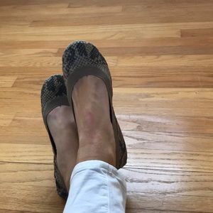 Yosi Samra Shoes - Yosi Samra beige serpent foldable flats Yosi Samra Shoes - Yosi Samra beige serpent foldable flats